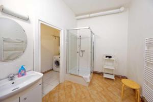 プラハにあるBorivojova 50のバスルーム(シャワー、シンク付)