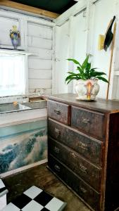 an old dresser with a potted plant on top of it at Truffle Honey Cottage in Warkworth