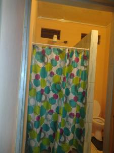 a shower curtain in a bathroom with a toilet at Tessa's Inn in Arima