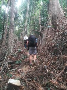 Ratanakiri Lakeside Homestay & Tours في راتاناكيري: شخصان يسيران على درب في الغابة