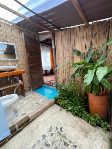 ein Badezimmer mit einem WC und einer Topfpflanze in der Unterkunft Hotel Padua in Chachagüí