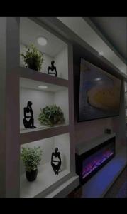 Zimmer mit Regalen mit Pflanzen und einem TV in der Unterkunft The Olive House PR in Rio Grande