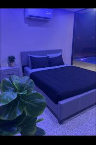 Un dormitorio con una cama azul y una planta en The Olive House PR, en Río Grande