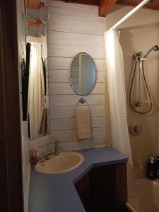 W łazience znajduje się umywalka i lustro. w obiekcie The Annex w mieście Whitianga