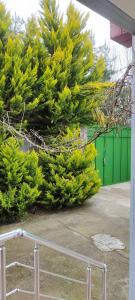 a group of trees in front of a green fence at Pink house in Lankaran