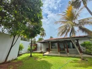 a house with a palm tree in the yard at Sanctuary Ceylon by Ceylon Spaces in Ratmalana South