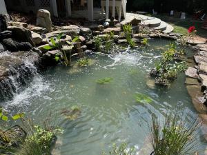 Fotografie z fotogalerie ubytování Tara Retreat: Family-Friendly Oasis with Pool, Tennis & Serene Ambiance in Potomac v destinaci Potomac