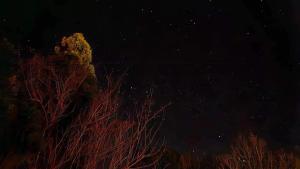 Fotografie z fotogalerie ubytování ゲストハウス奥屋敷城内 v destinaci Kinko
