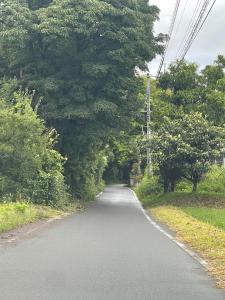 an empty road with trees on either side of it at ゲストハウス奥屋敷城内 in Kinko