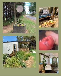 eine Collage von Bildern von Pflanzen und einem Haus in der Unterkunft The Perch in Houhora