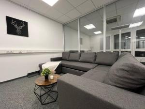 a living room with a couch and a table at Simplex Apartments Am Schwabentorring in Freiburg im Breisgau