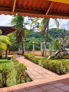 un patio con palmeras y un camino en Kame House en Juan Gallego