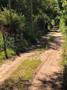 polna droga z drzewami i trawą w obiekcie “Nogal de Luz”- Acogedora Cabaña p/Familia yAmigos w mieście La Rioja