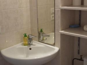 a bathroom sink with a mirror next to a sink at Appartement Corrençon-en-Vercors, 3 pièces, 8 personnes - FR-1-515-116 in Corrençon-en-Vercors