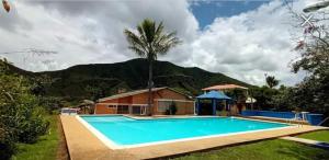 a swimming pool in front of a house with a palm tree at SHEVABRAJOT in Pasto