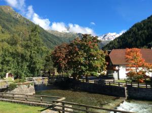 a house in the mountains with a river and a tree at Villa Talheim in Mallnitz