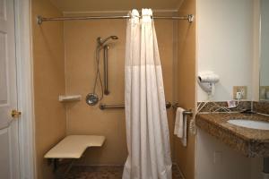 y baño con cortina de ducha y lavamanos. en Hollywood Stars Inn, en Los Ángeles