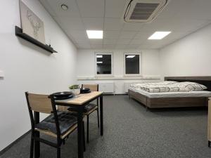 um quarto com uma cama e uma mesa e uma cama e uma cadeira em Simplex Apartments Am Schwabentorring em Friburgo em Brisgóvia