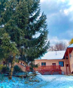 a house with a tree in front of it at Tradičná kopaničiarska chalupa in Košariská-Priepasné