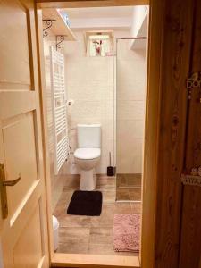 a small bathroom with a toilet and a shower at Tradičná kopaničiarska chalupa in Košariská-Priepasné +29 photos