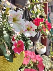 un montón de flores rosas y blancas en una cesta en Kishan Home Stay en Mathura