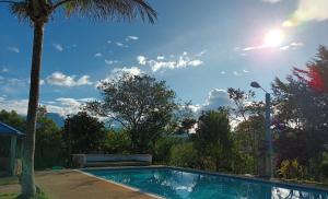una piscina en un patio con una palmera en shevabrajot, en Pasto