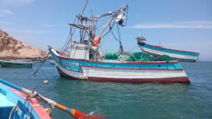 dos barcos están atracados en el agua en La Nueva Vista en Huarmey