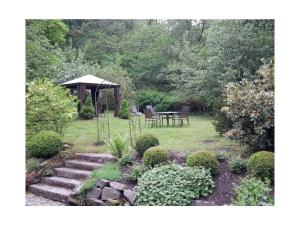 Afbeelding uit fotogalerij van Cosy apartment in Harz in Schauenburg