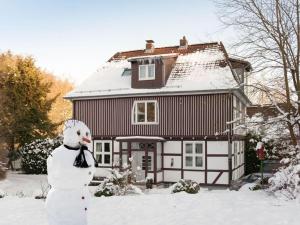 Afbeelding uit fotogalerij van Cosy apartment in Harz in Schauenburg