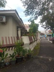 una casa con plantas al lado de una calle en Homestay Mutiara, en Yogyakarta