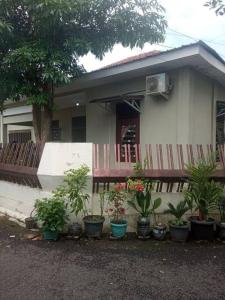 una casa con macetas delante de ella en Homestay Mutiara, en Yogyakarta
