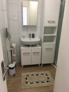 a bathroom with a sink and a mirror at Charmant duplex aux portes de Paris in Bagneux