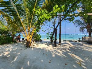 a sandy beach with palm trees and the ocean at The Hive Beach in Male City