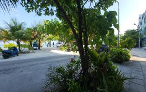 Gallery image of The Hive Beach in Male City