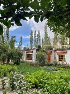 The Kesar Guest House Sumoor外面的花园