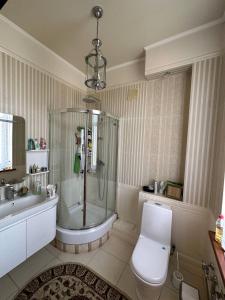 W łazience znajduje się prysznic, toaleta i umywalka. w obiekcie Saule Guest House w mieście Szymkent