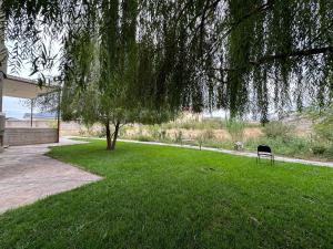 奇姆肯特的住宿－Saule Guest House，草地上有一个长凳和一棵树的公园