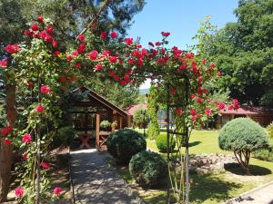 einen Bogen mit roten Rosen im Garten in der Unterkunft U Neli in Solotschyn