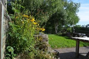 un jardín con flores amarillas junto a un banco de madera en Gîte à la campagne 3 * proche A75 en Margeride., en La Roche