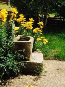 Banda żółtych kwiatów w ogrodzie w obiekcie Gîte à la campagne 3 * proche A75 en Margeride. w mieście La Roche