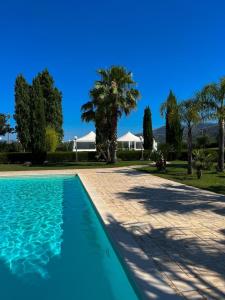 una piscina di fronte a una casa con palme di Villa Arianna a Cori