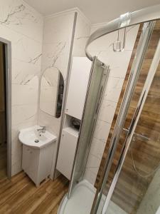 a bathroom with a shower and a toilet and a sink at Miętówka in Żywiec