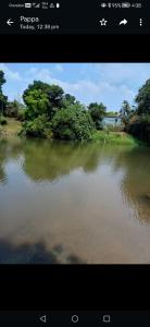 Afbeelding uit fotogalerij van River Valley in Mananthavady