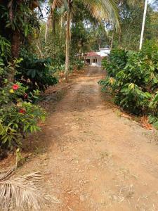 een onverharde weg met een huis in de verte bij River Valley in Mananthavady