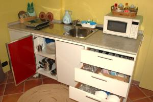 encimera de cocina con fregadero y microondas en Mari's House by Alterego, en Castagnito