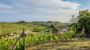 een wijngaard in de heuvels met een dorp op de achtergrond bij Mari's House by Alterego in Castagnito