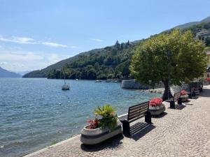 Příroda nedaleko apartmánu + 5 fotografií