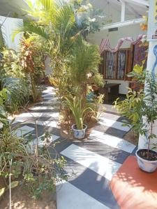 un patio con muchas plantas en un edificio en Beach Cab Resort, en Arugam Bay