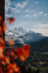a snow covered mountain in the distance with red flowers at farnhaus in Tirolo