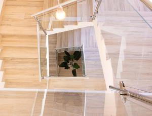 a plant in a glass box in a stair case at El sueño del Búho 4. Ático con chimenea y terraza. in Beceite
